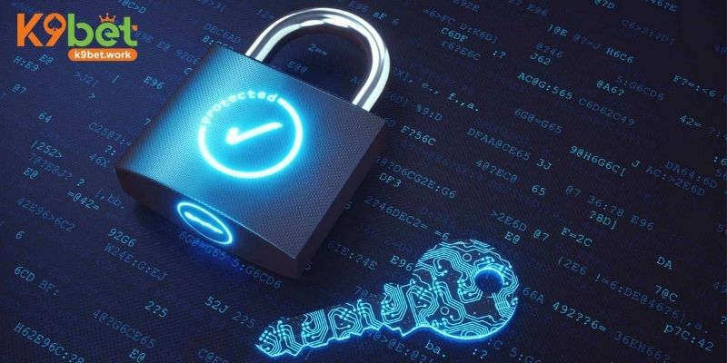 Điều khoản sử dụng trong vấn đề bảo mật dữ liệu tại K9BET
