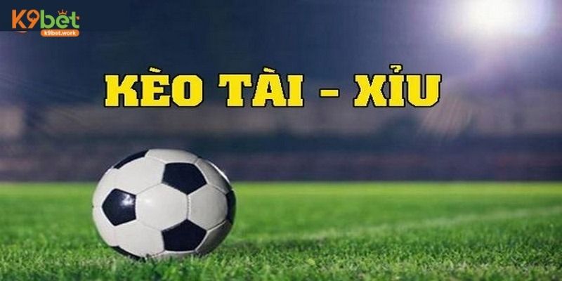 Tìm hiểu các loại hình đặt cược của hình thức Over/Under