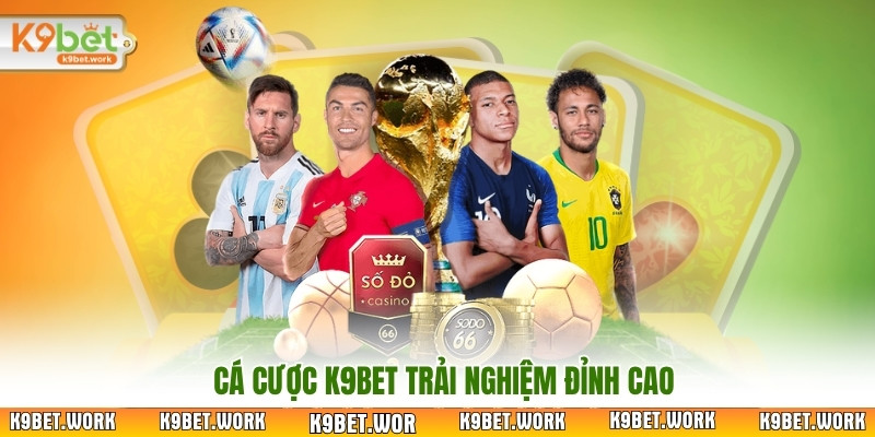 Cá cược K9Bet trải nghiệm đỉnh cao